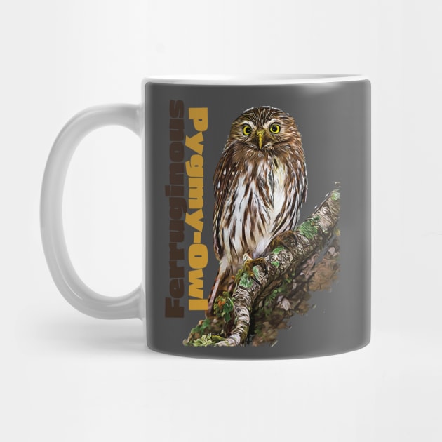 Ferruginous Pygmy-Owl color by Ripples of Time
